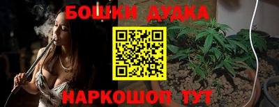 гашик Кулебаки