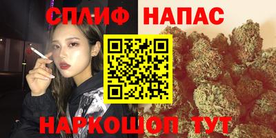 гашик Кулебаки