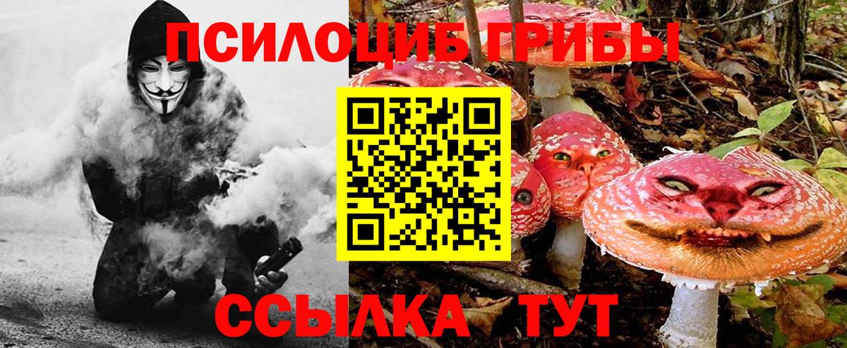 Псилоцибиновые грибы Magic Shrooms Гай