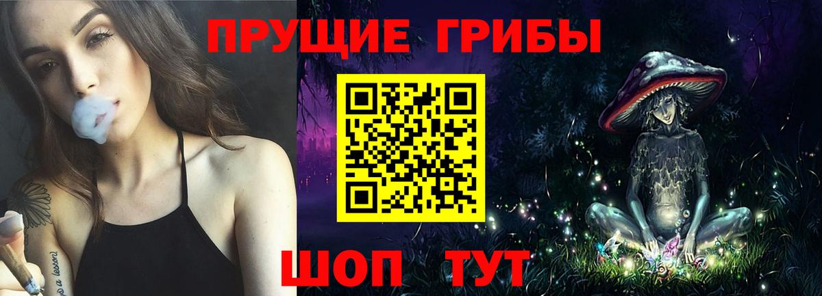 Гай  Псилоцибиновые грибы мухоморы  Вход с VPN 