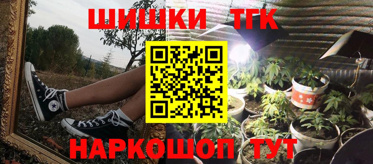 Каннабис планчик Гай